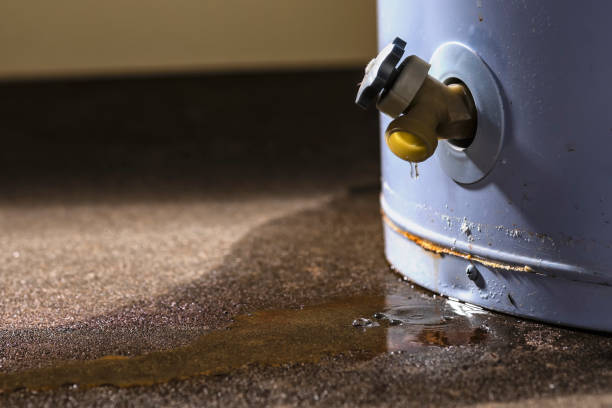 Best Commercial water damage restoration  in Lindsay, OK