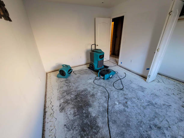 Best Water damage restoration company  in Lindsay, OK