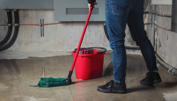Best Residential water damage restoration  in Lindsay, OK