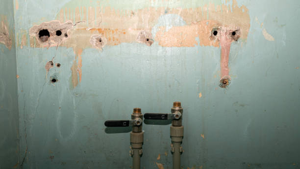 Carpet water damage restoration in OK