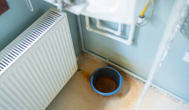 Best Mold removal after water damage  in Lindsay, OK
