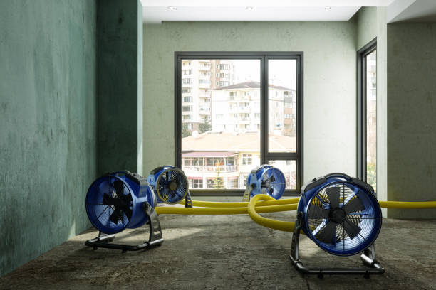 Best Local water damage restoration  in Lindsay, OK